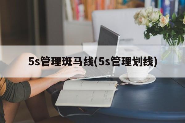 5s管理斑马线(5s管理划线)